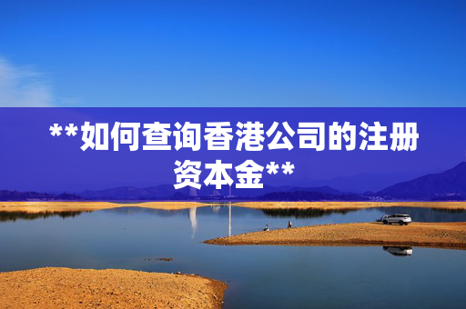 **如何查询香港公司的注册资本金**