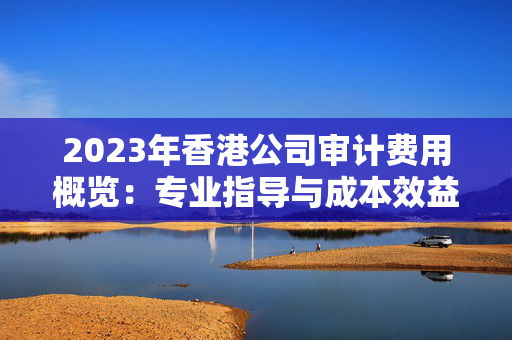 2023年香港公司审计费用概览：专业指导与成本效益分析