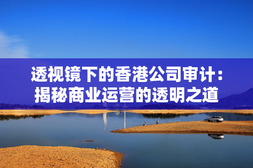 透视镜下的香港公司审计：揭秘商业运营的透明之道