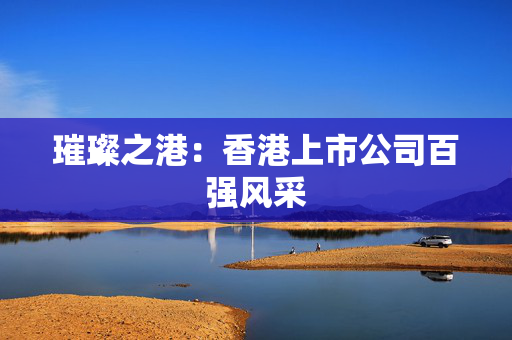璀璨之港：香港上市公司百强风采