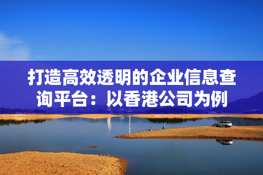 打造高效透明的企业信息查询平台：以香港公司为例