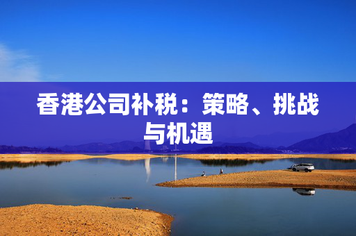 香港公司补税：策略、挑战与机遇