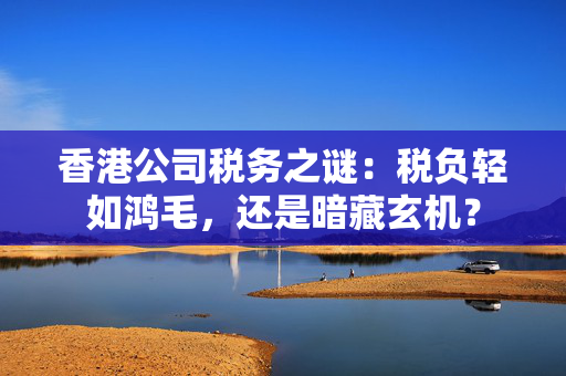 香港公司税务之谜：税负轻如鸿毛，还是暗藏玄机？