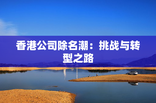香港公司除名潮：挑战与转型之路