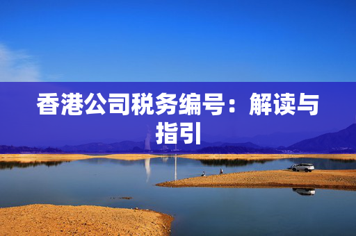 香港公司税务编号：解读与指引