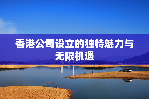 香港公司设立的独特魅力与无限机遇