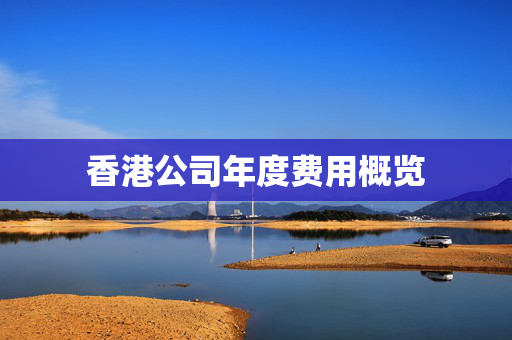 香港公司年度费用概览