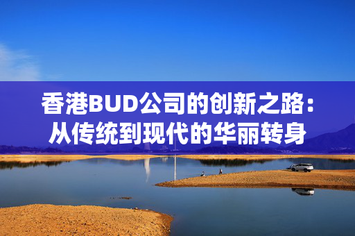 香港BUD公司的创新之路：从传统到现代的华丽转身