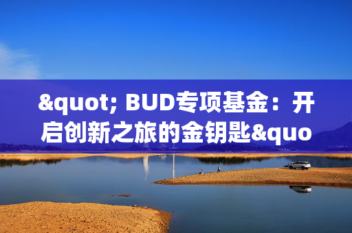 " BUD专项基金：开启创新之旅的金钥匙"