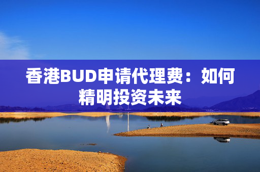 香港BUD申请代理费：如何精明投资未来