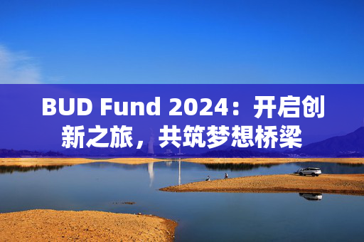 BUD Fund 2024：开启创新之旅，共筑梦想桥梁
