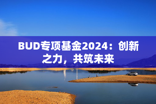 BUD专项基金2024：创新之力，共筑未来