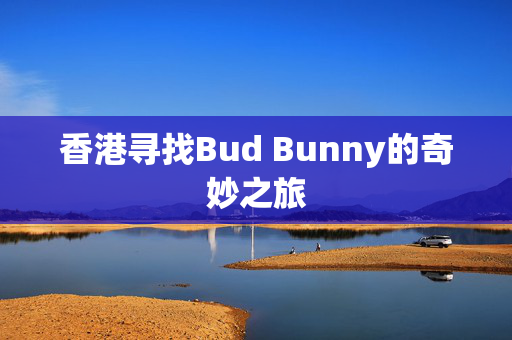 香港寻找Bud Bunny的奇妙之旅