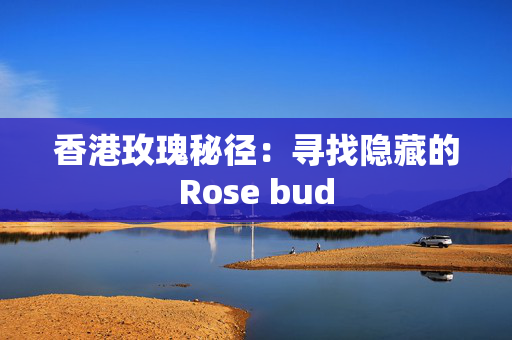 香港玫瑰秘径：寻找隐藏的Rose bud