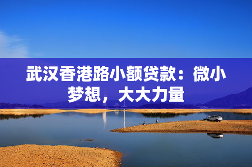 武汉香港路小额贷款：微小梦想，大大力量