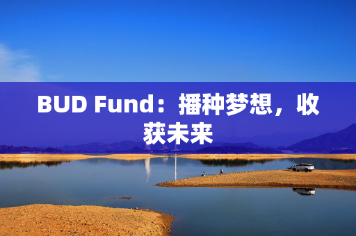 BUD Fund：播种梦想，收获未来