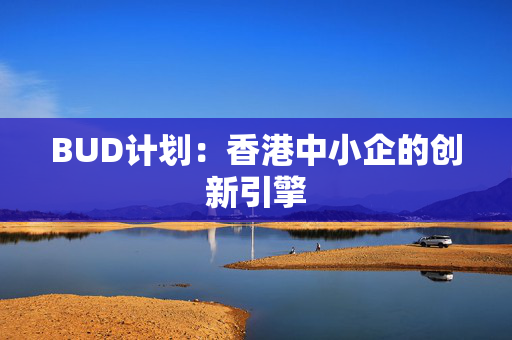 BUD计划：香港中小企的创新引擎