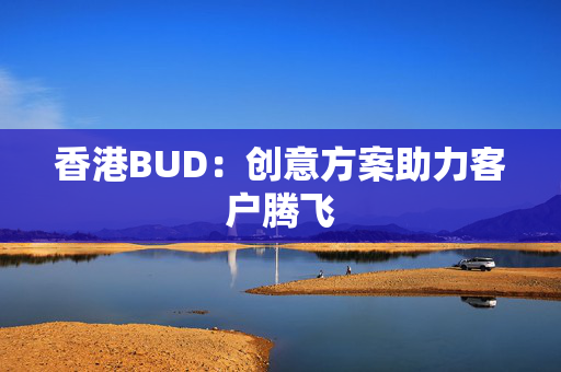 香港BUD：创意方案助力客户腾飞