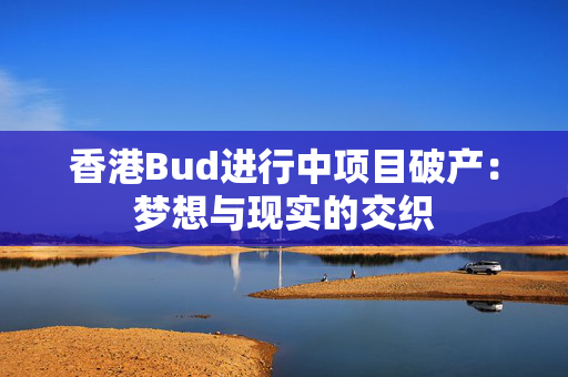 香港Bud进行中项目破产：梦想与现实的交织