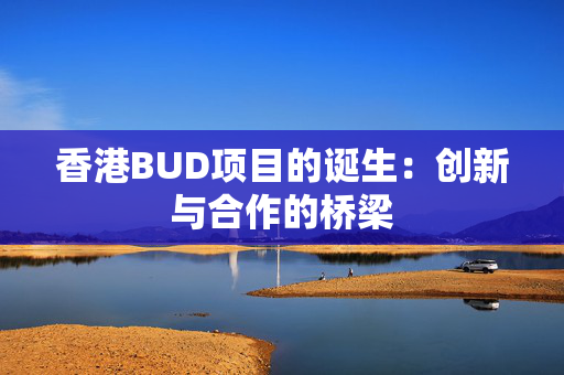 香港BUD项目的诞生：创新与合作的桥梁