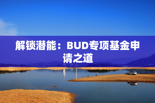 解锁潜能：BUD专项基金申请之道