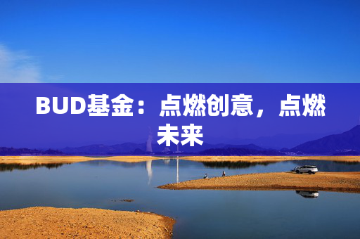 BUD基金：点燃创意，点燃未来