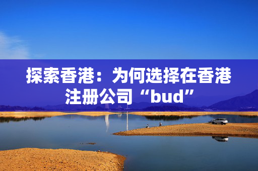 探索香港：为何选择在香港注册公司“bud”