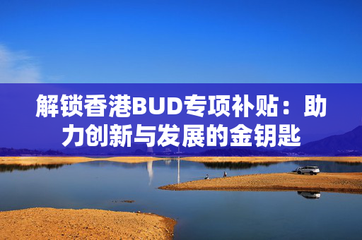 解锁香港BUD专项补贴：助力创新与发展的金钥匙