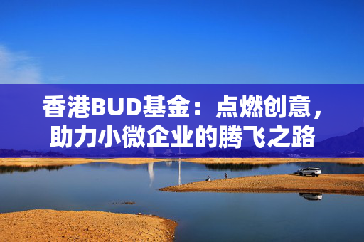 香港BUD基金：点燃创意，助力小微企业的腾飞之路