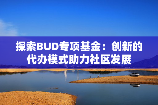探索BUD专项基金：创新的代办模式助力社区发展