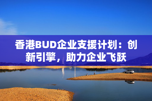 香港BUD企业支援计划：创新引擎，助力企业飞跃