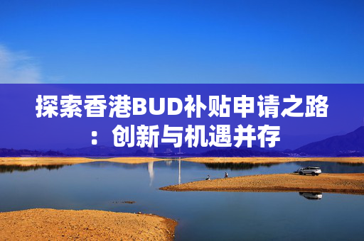 探索香港BUD补贴申请之路：创新与机遇并存