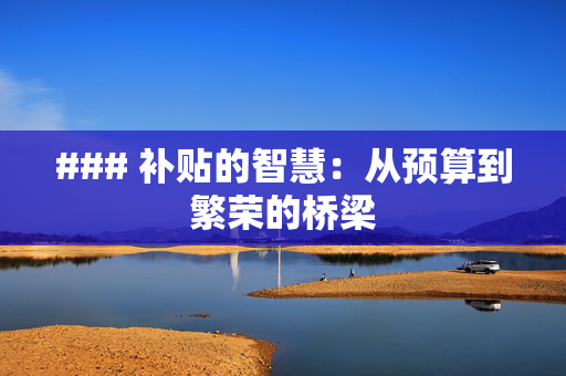 ### 补贴的智慧：从预算到繁荣的桥梁