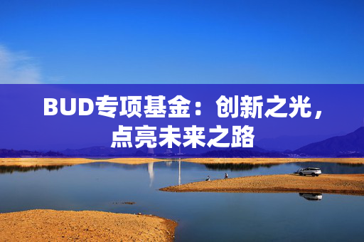 BUD专项基金：创新之光，点亮未来之路