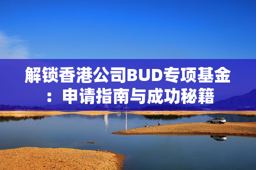 解锁香港公司BUD专项基金：申请指南与成功秘籍