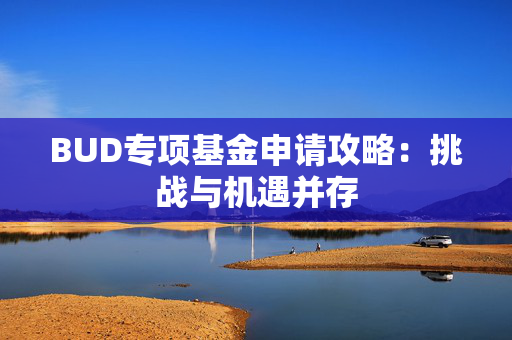 BUD专项基金申请攻略：挑战与机遇并存