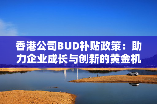 香港公司BUD补贴政策：助力企业成长与创新的黄金机会