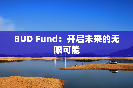 BUD Fund：开启未来的无限可能