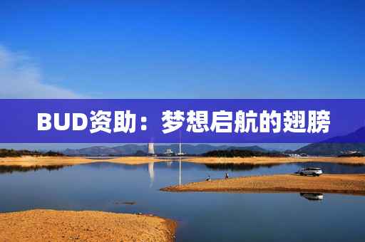 BUD资助：梦想启航的翅膀