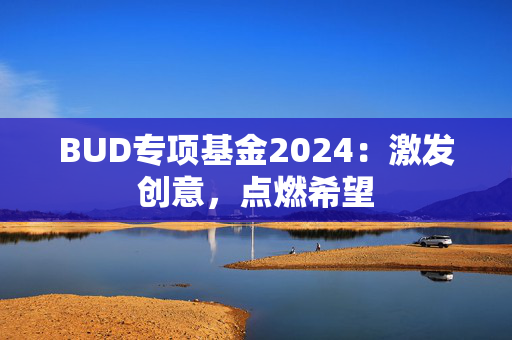 BUD专项基金2024：激发创意，点燃希望