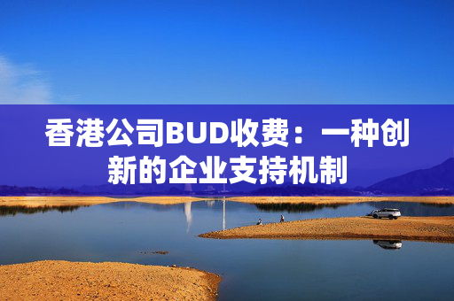 香港公司BUD收费：一种创新的企业支持机制