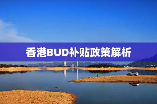 香港BUD补贴政策解析