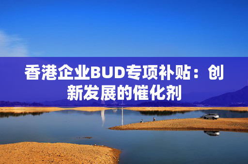 香港企业BUD专项补贴：创新发展的催化剂