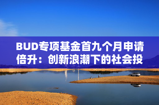 BUD专项基金首九个月申请倍升：创新浪潮下的社会投资新篇章