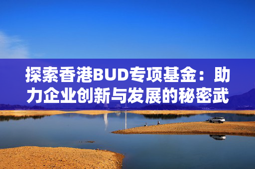 探索香港BUD专项基金：助力企业创新与发展的秘密武器