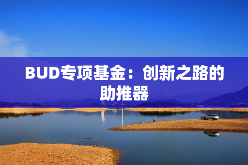 BUD专项基金：创新之路的助推器