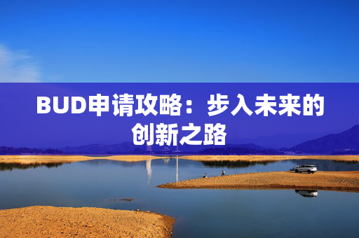 BUD申请攻略：步入未来的创新之路