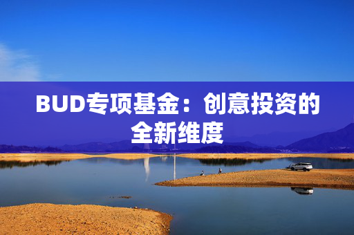 BUD专项基金：创意投资的全新维度