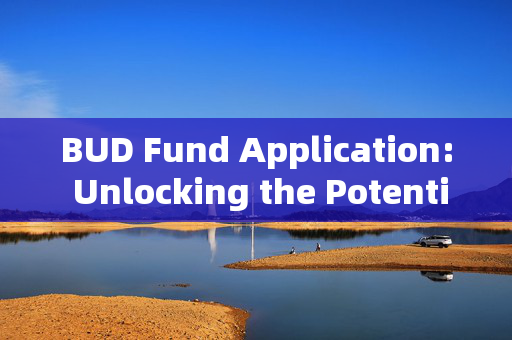 BUD Fund Application: Unlocking the Potential of Creative Projects 香港企业补贴