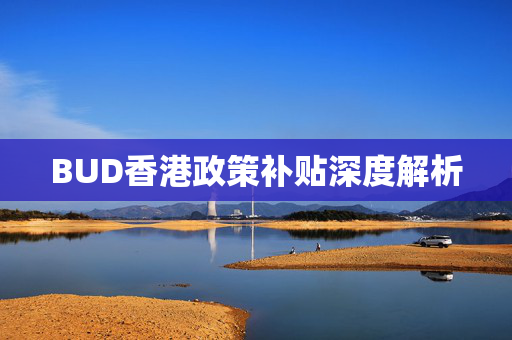 BUD香港政策补贴深度解析